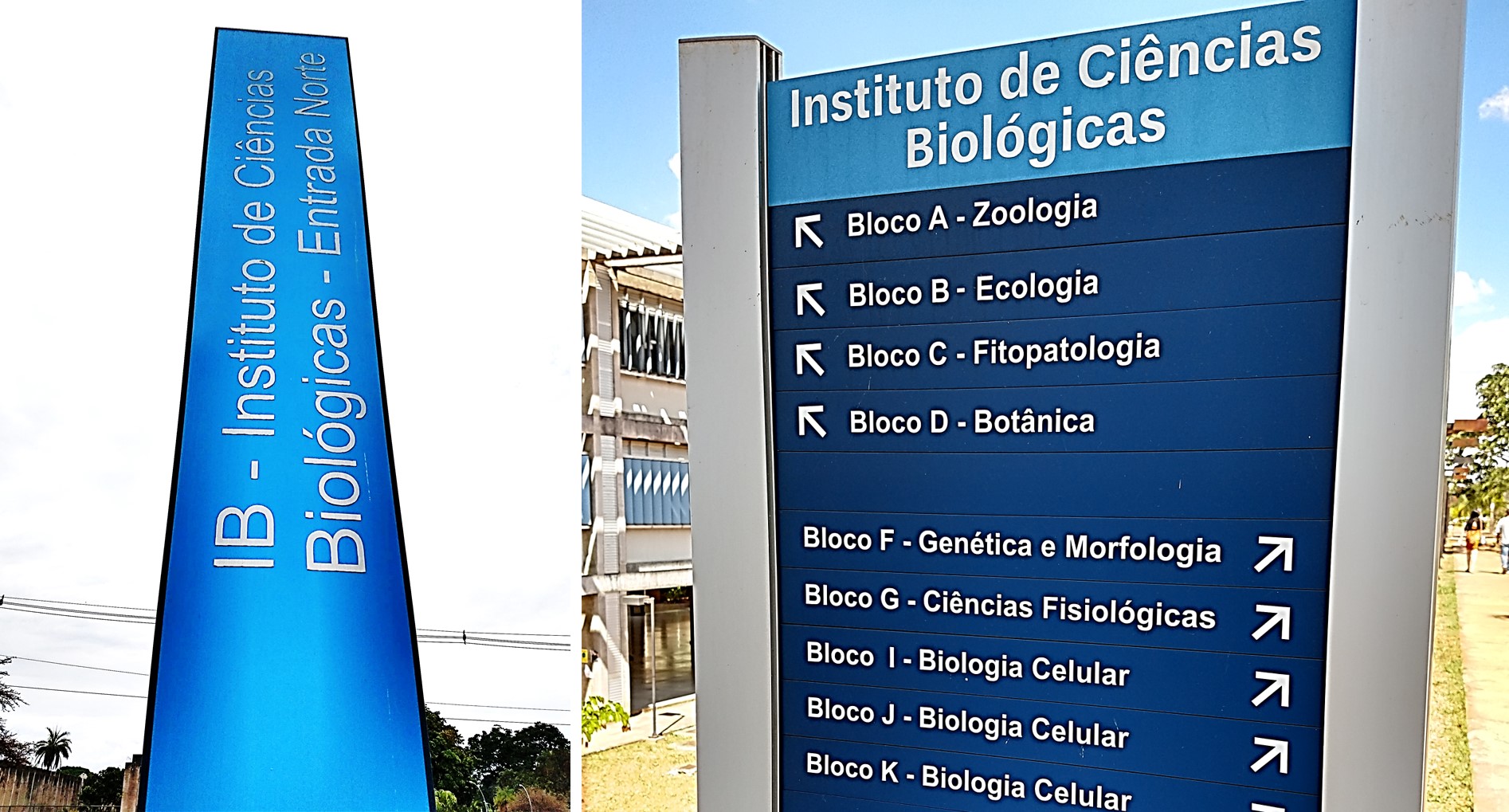 Instituto de Ciências Biológicas (IB)