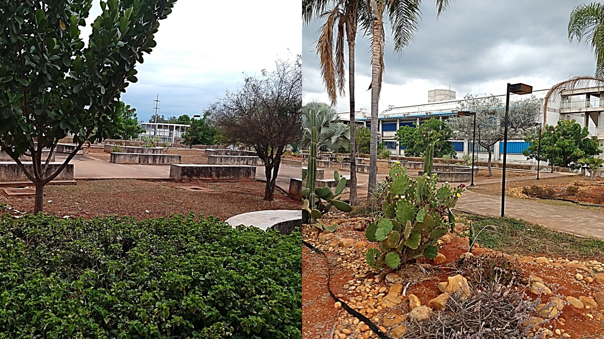 Instituto de Ciências Biológicas (IB)