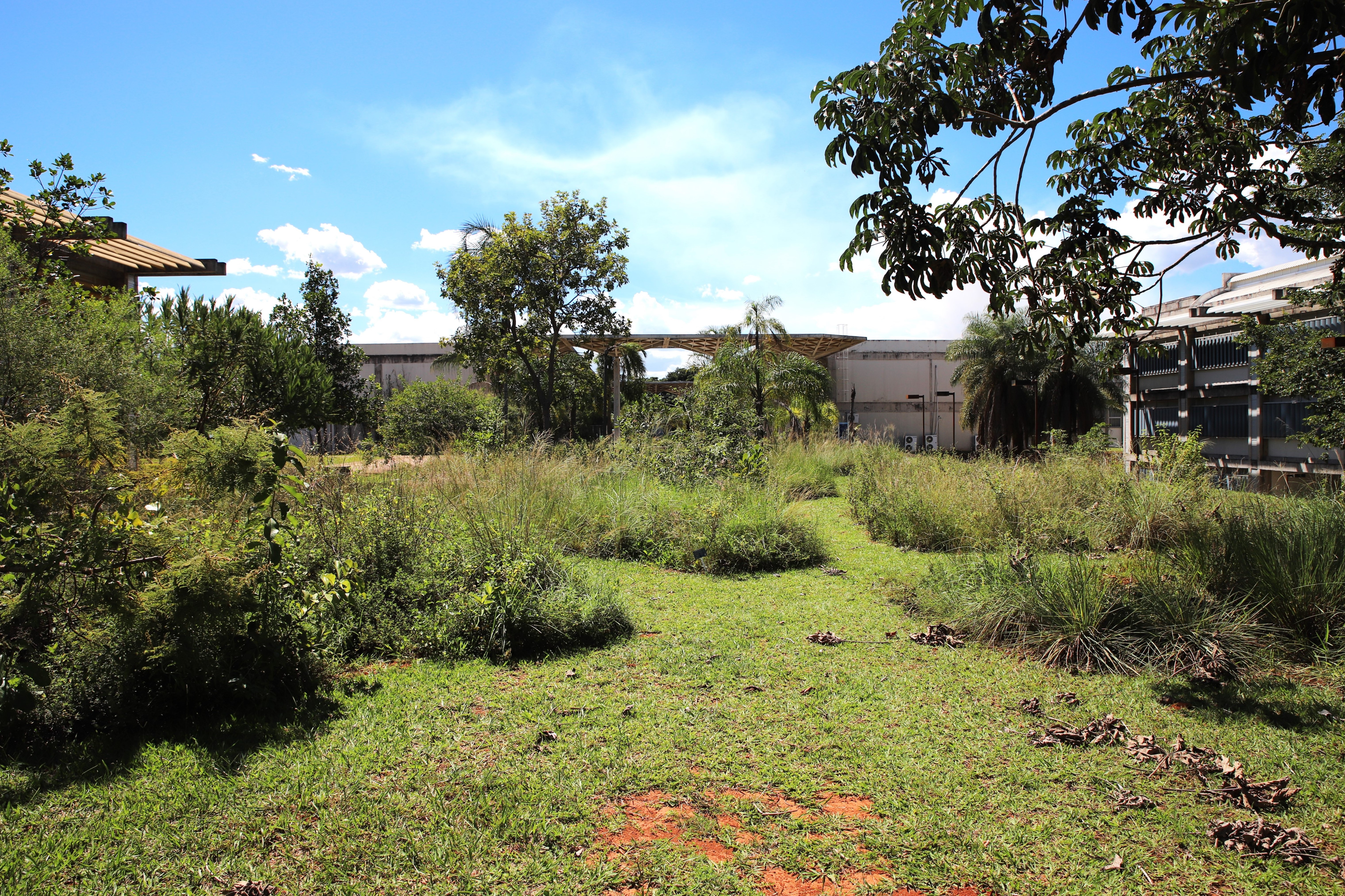 Jardim Louise Ribeiro