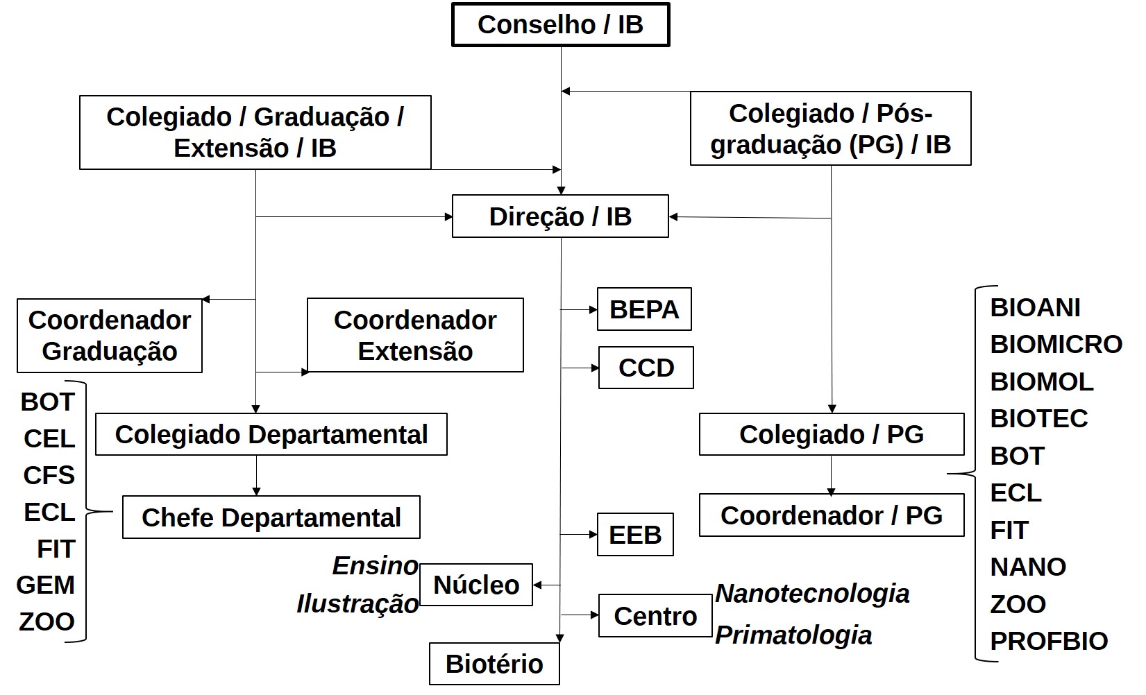 Organograma IB 23 10 19
